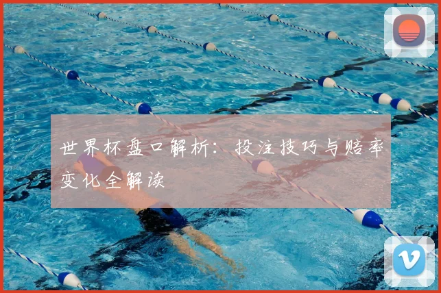 世界杯盘口解析：投注技巧与赔率变化全解读