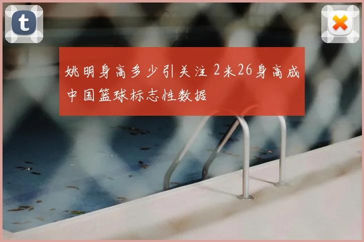 姚明身高多少引关注 2米26身高成中国篮球标志性数据