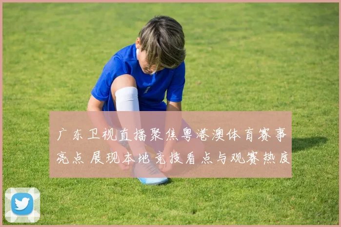 广东卫视直播聚焦粤港澳体育赛事亮点 展现本地竞技看点与观赛热度